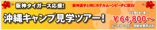 沖縄キャンプ見学ツアー