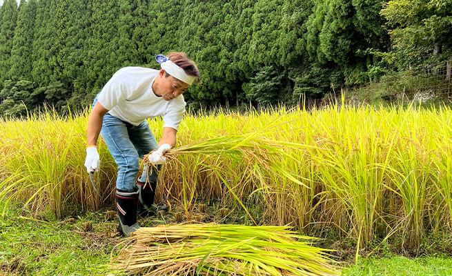 2025年12月の出演情報