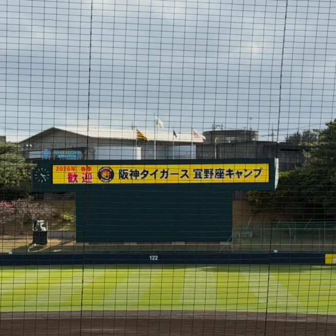 チャンピオンフラッグ👍